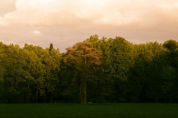 Comment améliorer votre santé cardiaque avec le régime méditerranéen